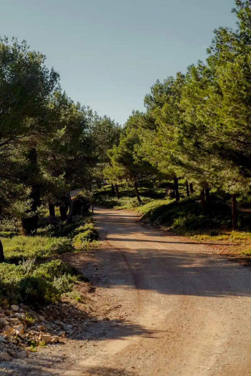 L'histoire de Montres Alpilles, rencontre entre la passion de l'horlogerie et l'amour du terroir